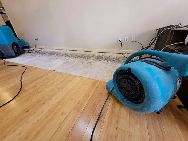 Professional Water Damage Repair technician working in Sparkill, NY